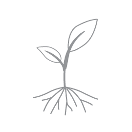 A gray and white illustration of a plant sprouting from the ground.