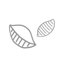 A gray and white illustration of two macaroni shell noodles.