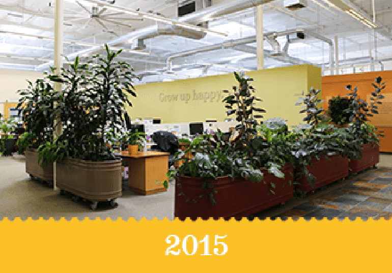Year 2015 - An indoor garden with a sign that reads "Grow up happy".